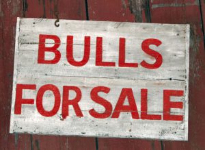 for sale sign