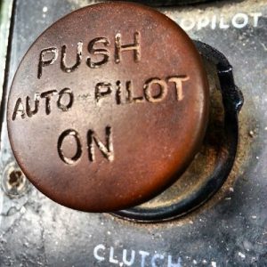 auto pilot button