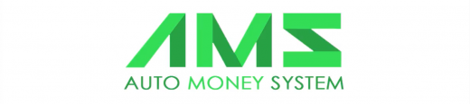 the auto money system logo