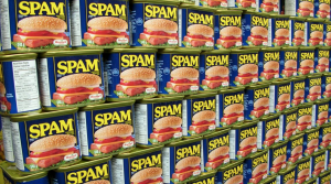 image of spam